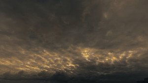 Untitled_3.1.1